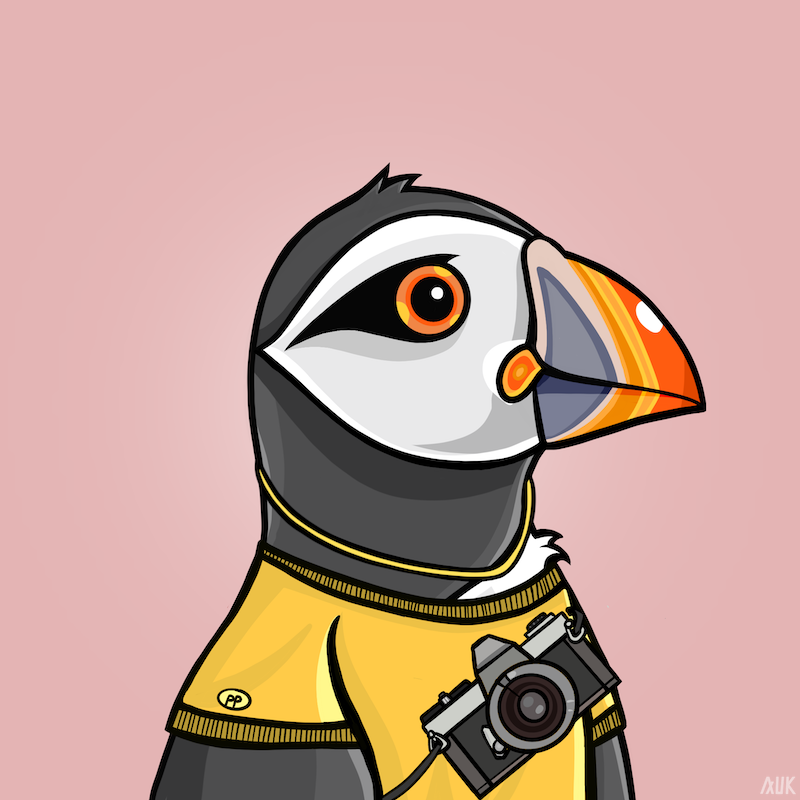 Poppin Puffins #4884